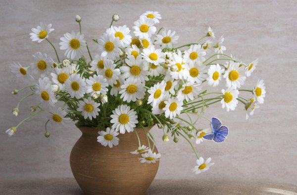 得之我幸失之我命的意思