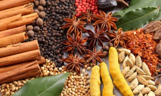 清炖肉时放什么香料去腥 清炖肉时放哪些香料可以去腥