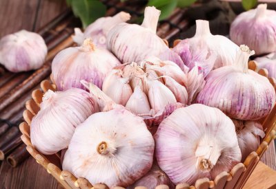 大蒜上面有紫斑能吃吗 蒜瓣上有紫色斑点是怎么回事