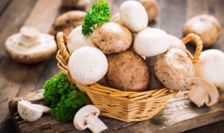 元蘑的做法大全家常 元蘑怎么做最好吃