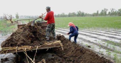 农业上为什么要使用化肥 提倡农家肥与化肥的利与弊