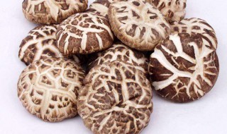 新鲜花菇的正确吃法 新鲜花菇如何做好吃