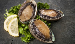 新鲜鲍鱼暂时不吃如何保存 怎么保存鲍鱼