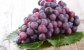 常见鲜食葡萄品种 常见鲜食葡萄有哪些