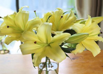 鲜花象征意义 鲜花代表什么象征意义