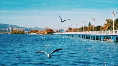 云南旅游必去十大景点推荐 云南十个值得游玩的最美景区