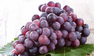 葡萄是热性还是凉性食物 葡萄属于热性还是凉性的水果呢