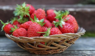 草莓冬天露地种植可以吗 冬天草莓露地种植可以吗