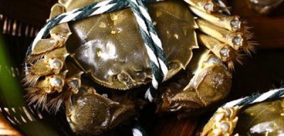 如何判断螃蟹是活的还是死的 螃蟹绑着腿怎么知道死活