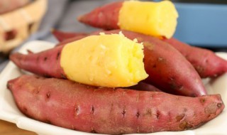 板栗薯和红薯的区别 板栗薯和红薯有哪些不同呢