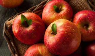 沈阳有哪些特色水果 沈阳有什么特色水果