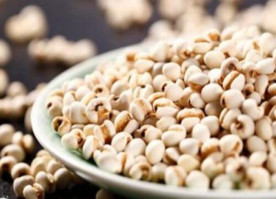 薏米几月收割 薏米什么时候收获收割