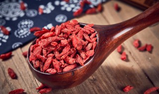 如何判断枸杞的好坏 判断枸杞的好坏的方法