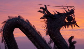 龙年几月出生最好命 龙年哪月出世好