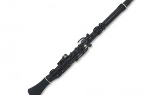 如何选购管乐器 怎么选购管乐器