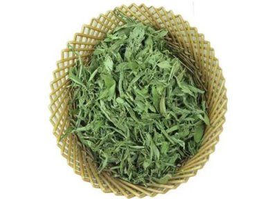 甜叶草作用 甜叶草有什么作用