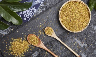 八月桂花树怎么养才长得好呢 八月桂花树的养殖方法