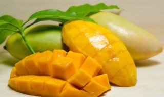 鸡蛋和芒果能不能一起吃 鸡蛋和芒果是否可以一起吃呢