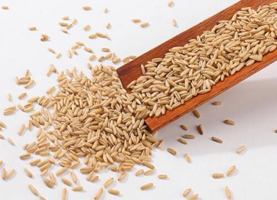 玉麦是什么农作物 玉麦属于什么农作物