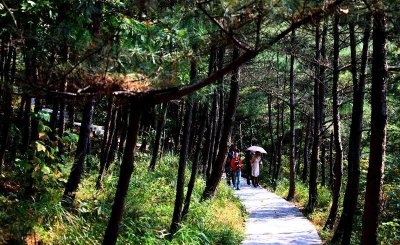 中国养肺最好地方在哪里 我国最美的6处天然氧吧