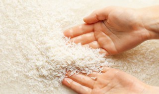 孕妇能吃生虫的大米吗 孕妇可以吃生虫的大米吗