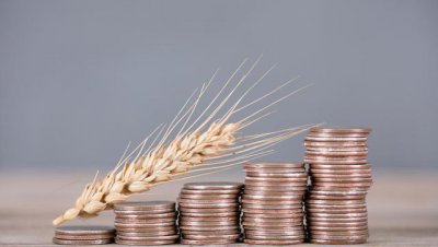 粮食价格上涨的原因和影响 农资价格上涨为什么粮食不涨