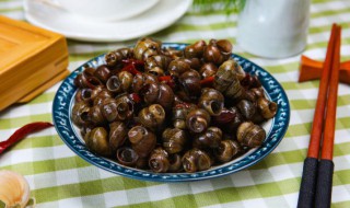 螺狮放什么吐泥沙快 螺蛳吐泥巴怎样最快