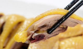 春天可以吃鸡吗 春天能不能食用鸡肉