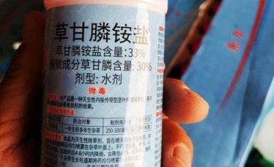 今年草甘膦最新价格走势 2023年最新市场价格走势图