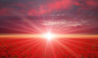 问候经典短句早安 经典简短早安问候语精选