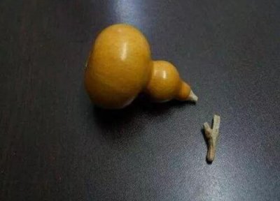 小葫芦龙头修剪技巧 小葫芦龙头怎么修剪好看