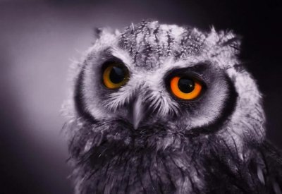 发泄情绪的正确方法 如何学会正确地发泄情绪缓解压力