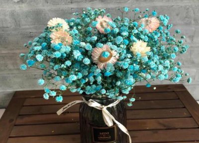 勿忘我的花语是什么意思 不同颜色象征什么含义