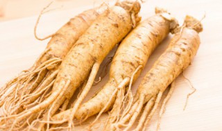 鲜人参能生吃吗 鲜人参可以直接生吃吗
