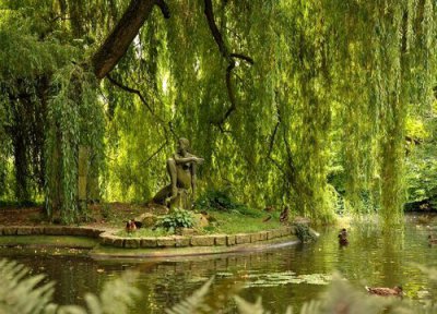 柳树是辟邪的还是招鬼的 柳树阴气重还是驱鬼