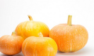 嫩南瓜怎么吃 嫩南瓜的吃法介绍