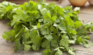 如何给香菜保鲜储存 怎么给香菜保鲜储存