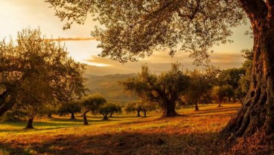 最能降服水瓶男的星座是什么 水瓶座男生的克星星座女