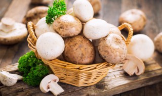 蘑菇放时间长了还能吃吗 蘑菇放时间长了能不能吃