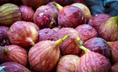 5种人不能吃无花果 脾胃虚寒的人适合吃无花果吗