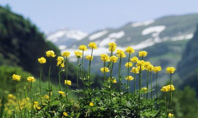 得之我幸失之我命的意思