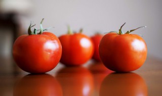 西红柿的由来 关于西红柿的由来介绍