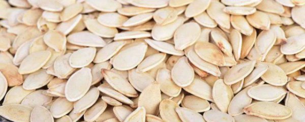 经常吃南瓜子有什么好处