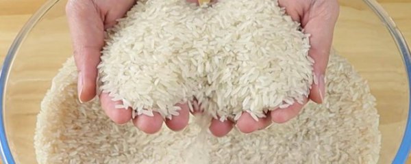 大米能冷冻保存吗