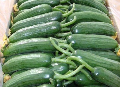 水果黄瓜含糖量高吗