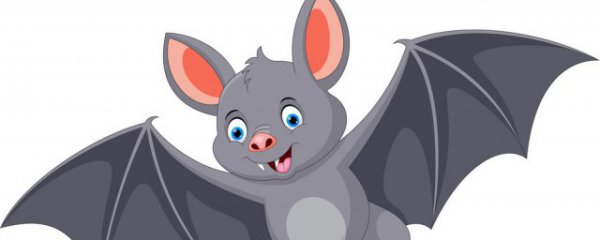 蝙蝠是什么中的翼手目