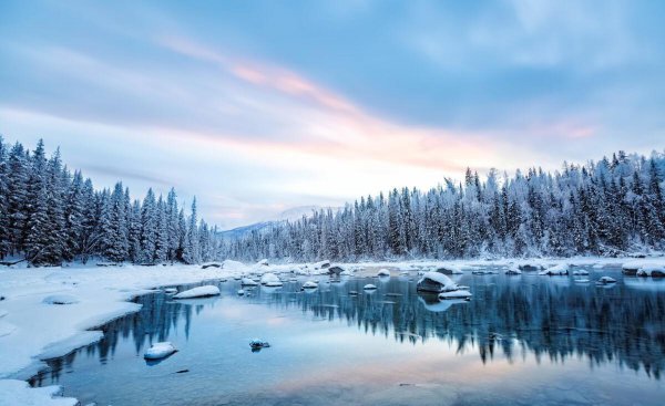 大自然给我们的启示有哪些