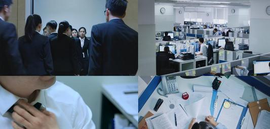 千万别去刚成立的公司工作