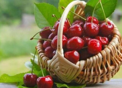 不含糖的水果都有哪些