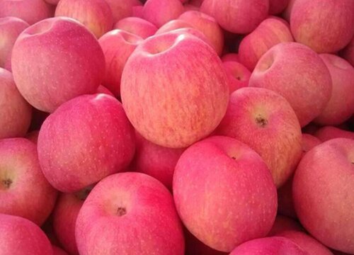 不含糖的水果都有哪些